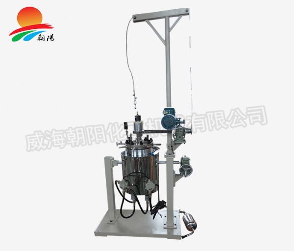 10L常規(guī)加氫設(shè)備